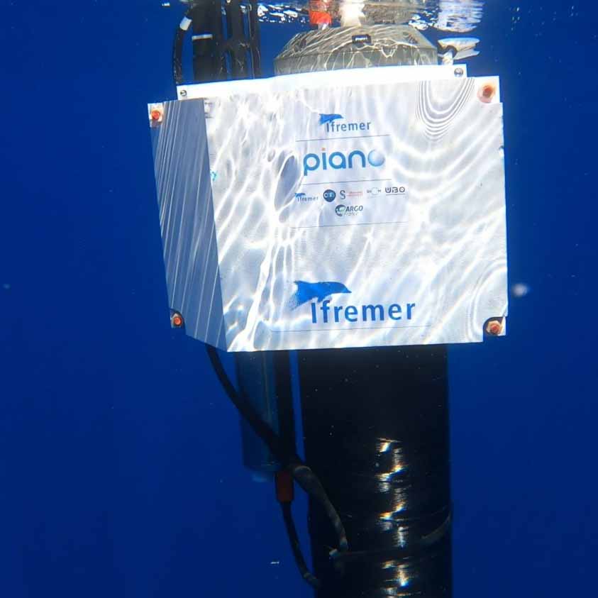 Profil profile float